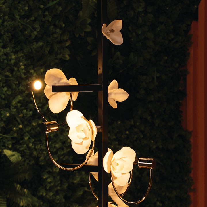 Elara Floor Light | Ivanka Lumiere