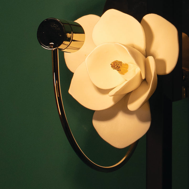 Pelle Lure Wall Light | Ivanka Lumiere